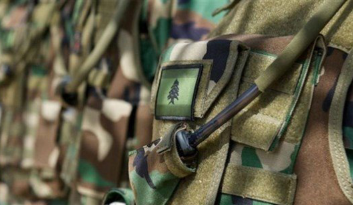 الجيش: تفجير ذخائر غير منفجرة في جرد الطيبة