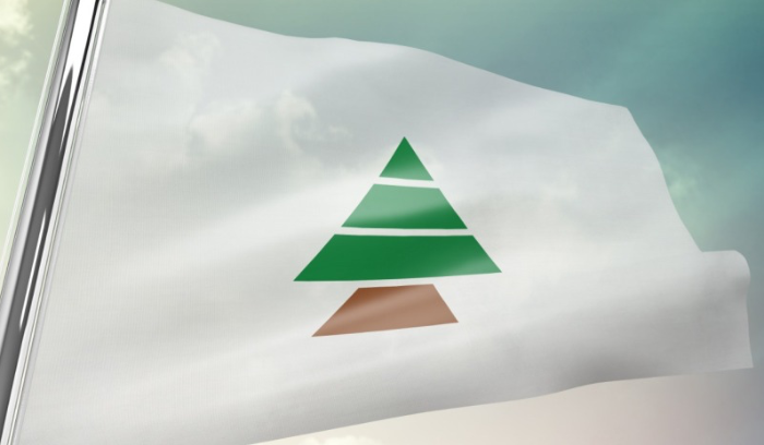 الكتائب: للالتزام باتفاق وقف النار ووضع السلاح على طاولة مجلس الوزراء